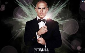 Pitbull